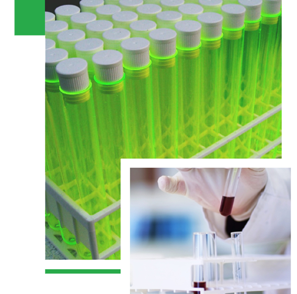 新沂美景化學科技有限公司